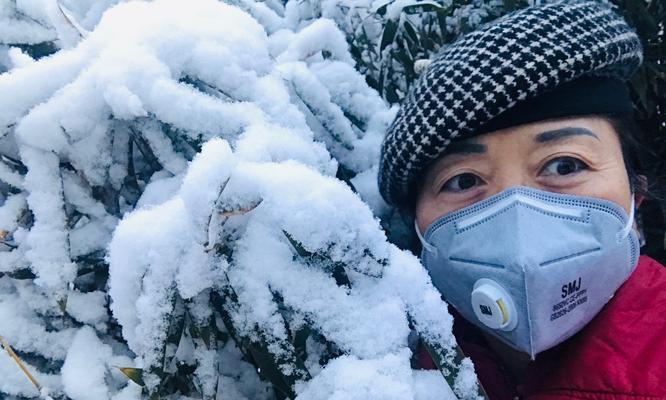纷纷扬扬的雪花（寒冬中的温暖）