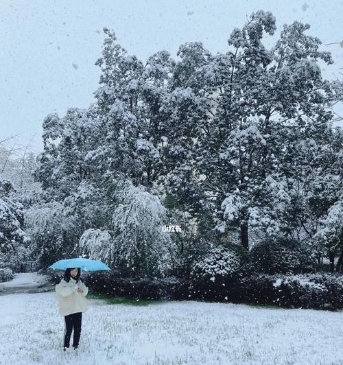 冬雪中的温暖（冬雪中的温暖）