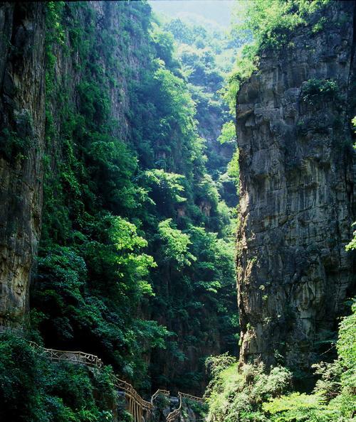 回味无穷的彩虹（那场降雨中的故事）