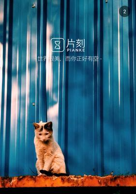 幸福来了，世界大不同（当天使降临，幸福就在身边）