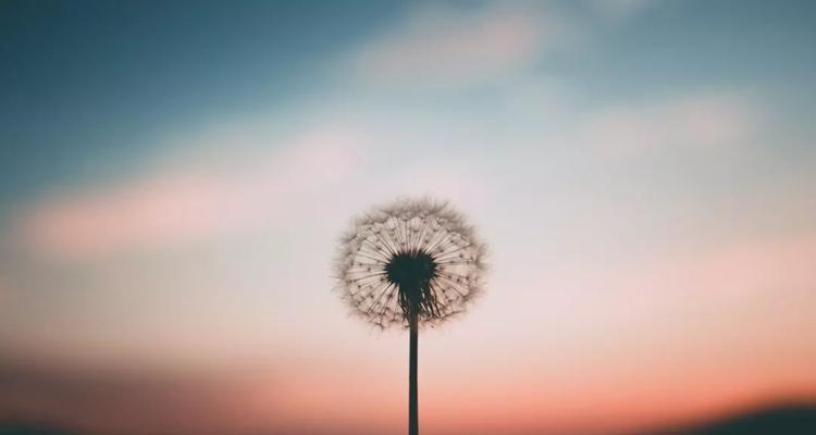 爱的力量