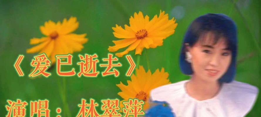 陪伴（那些优美动人的歌词背后的故事）