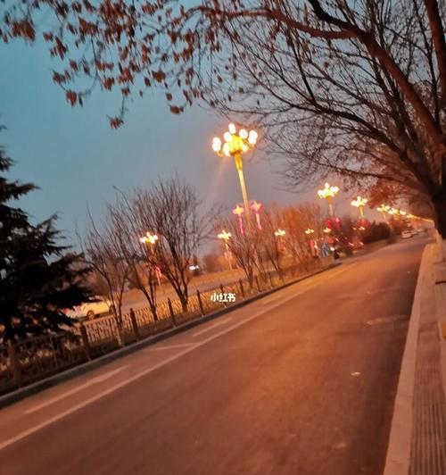一个不太寻常的日子——从奇怪的梦开始
