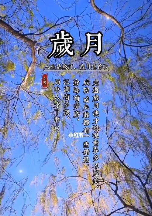 一个老人的故事（一个老人的故事）