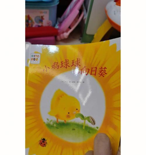 小鸡妈妈的深情关怀（一个平凡女子的伟大爱心）