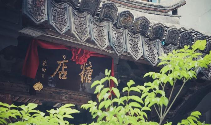 百态人生（百态人生）