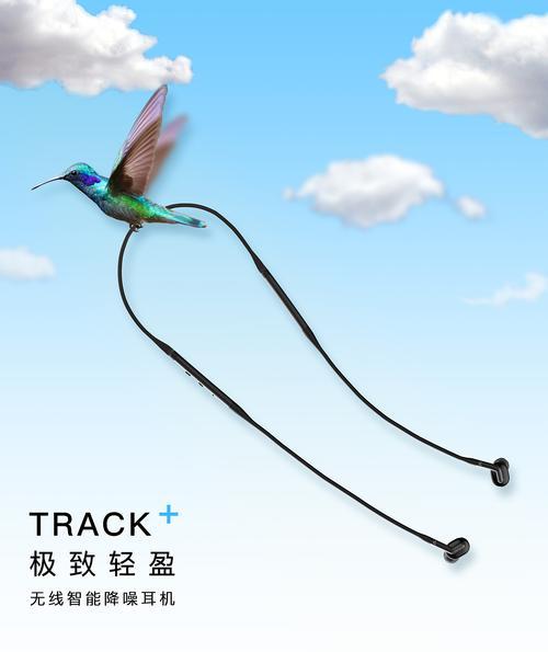 蝴蝶之舞（一只蝴蝶的奇妙旅程）