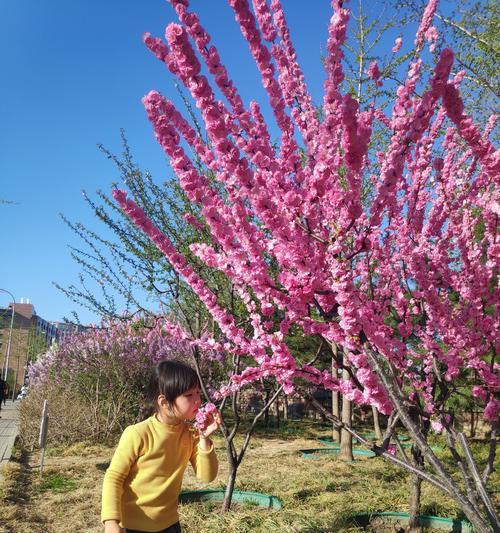 美好时光（人生中最精彩的一次旅行）