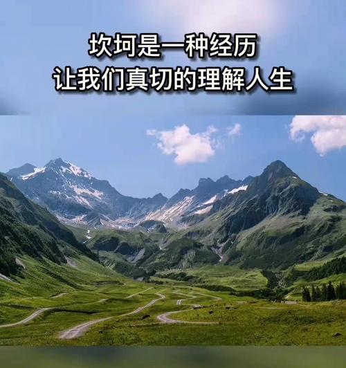 永不放弃的力量（追求梦想，执着追逐）