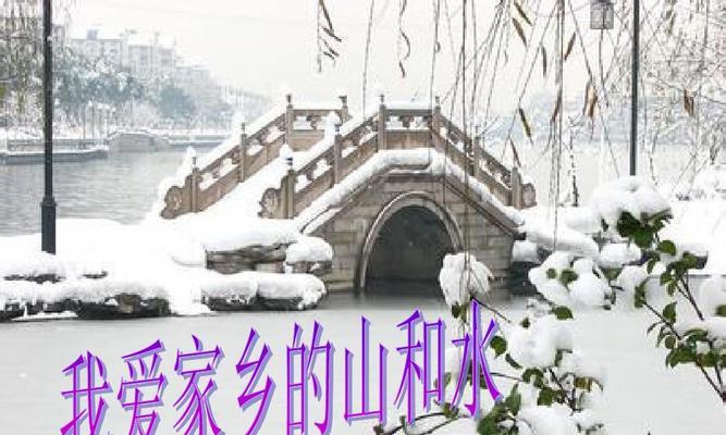 寻找失踪的小猫咪（寻找失踪的小猫咪）
