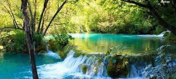 一场探险之旅，带你走进大自然的美景（一场探险之旅，带你走进大自然的美景）