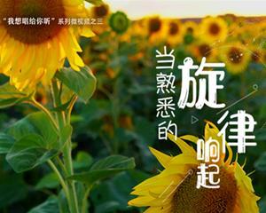 旋律之声（一曲动人心魄，一段感人故事）