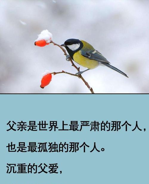 父亲的坚定关爱（在坎坷路上不放弃）