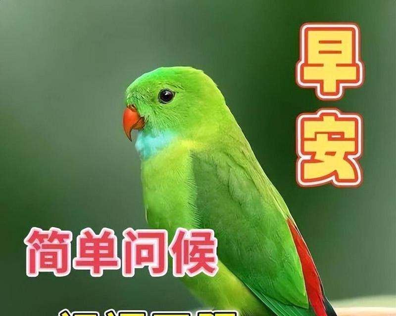 从黑暗走向光明（从黑暗走向光明）