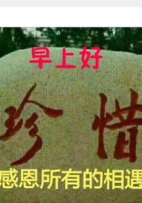 珍惜友谊，将它带进你的生命（一位少年和他的真正朋友）
