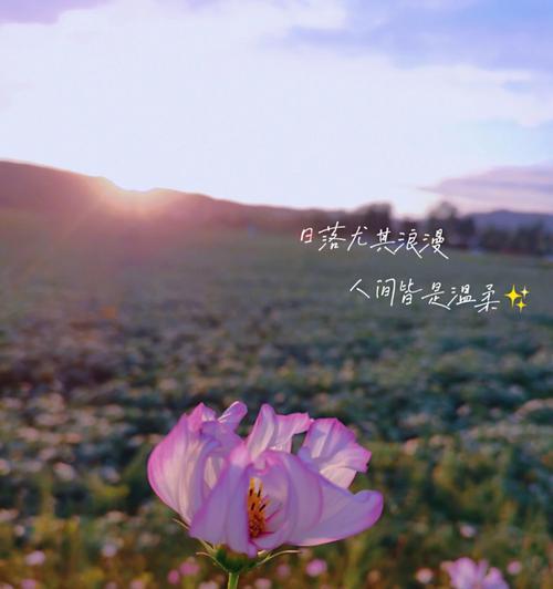风景遇见美好（一场有关于生命的旅行）