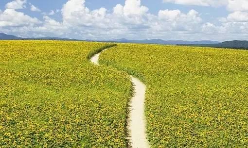 最高境界是笑容（温暖、善意、感动）