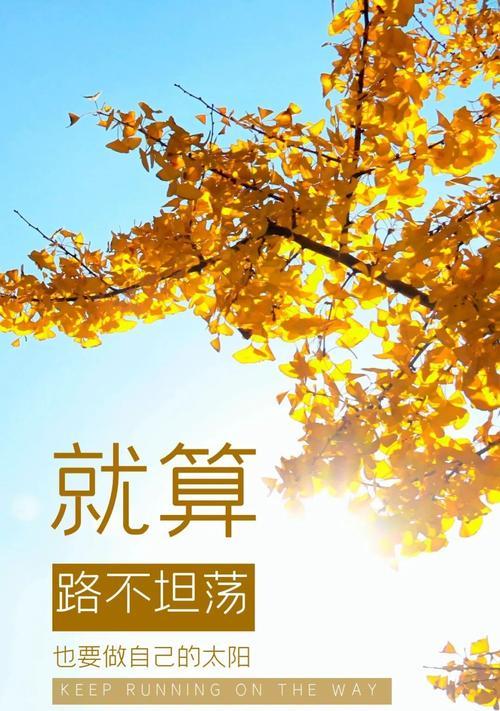 一场长跑的胜利（一场长跑的胜利）
