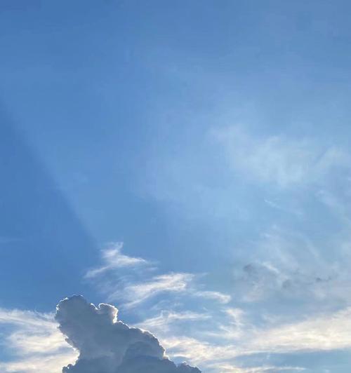 阳光照亮人生路（枯叶般的心，何必向阳为主）