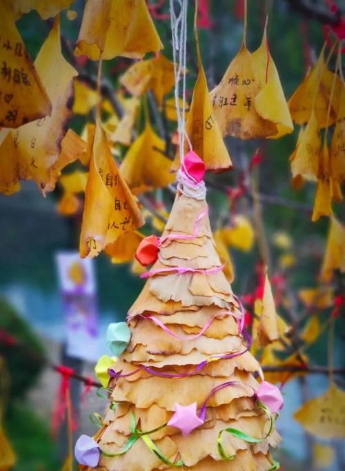 阳光相伴，携手前行（关于友谊的小故事）