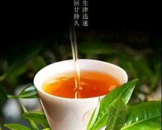 茶香里的人生（茶道、人生、感悟）