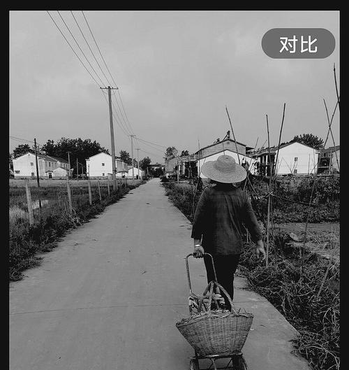 母亲的背影（一位母亲的爱与牺牲）