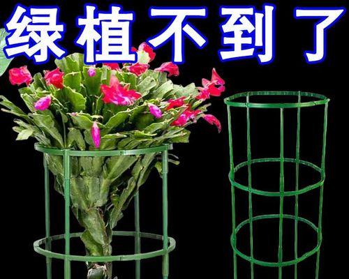 无限自由的探索之旅（探索内心，寻找自由）