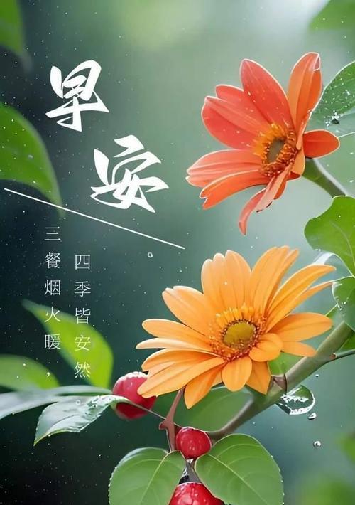 光芒之路（闪耀人生）