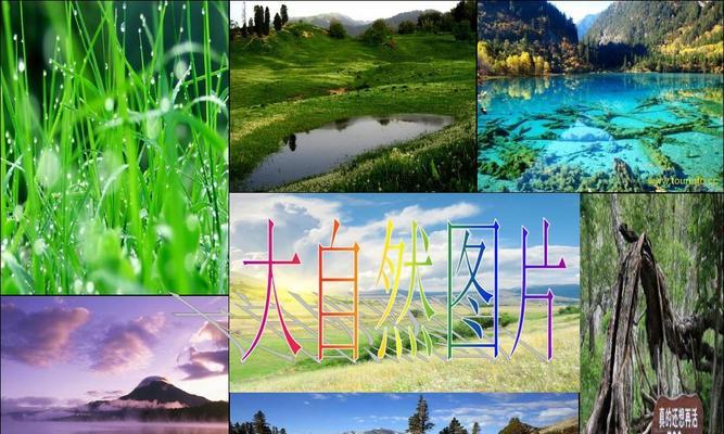 那个夏天，我与大自然相遇（探寻自然的奥妙）