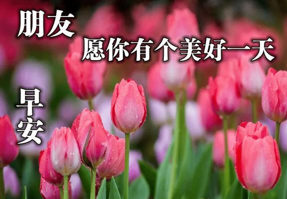 清晨很美，妈妈最美（一个有关母爱和清晨的故事）