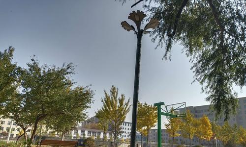 追梦校园——让青春充满活力（小小梦想，大大舞台）
