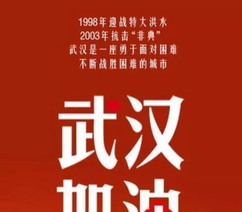 勇敢者的战胜（一个女孩如何用勇气战胜疾病）