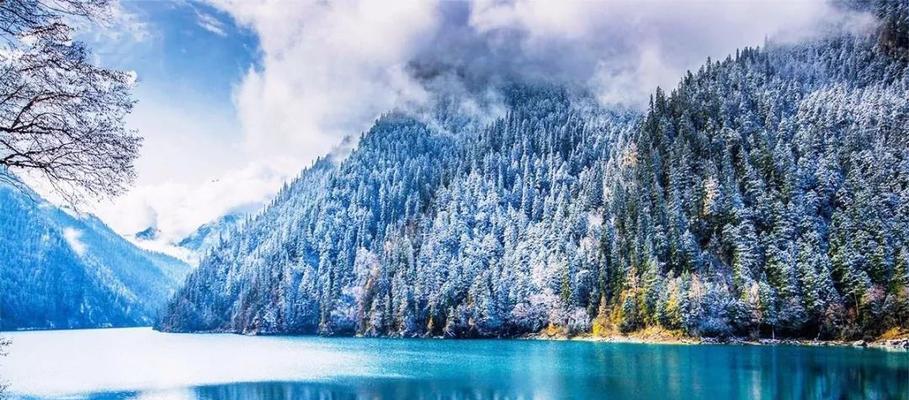 美丽的雪（一位女孩的雪之故事）