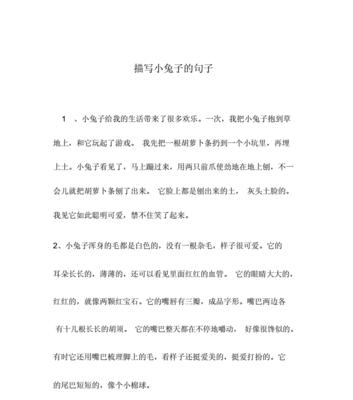 小兔子探索未知世界（小兔子探索未知世界）