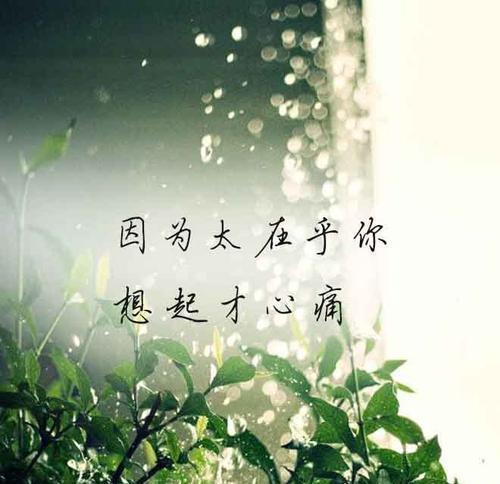 曾经心痛的回忆（一个女孩的成长之路）