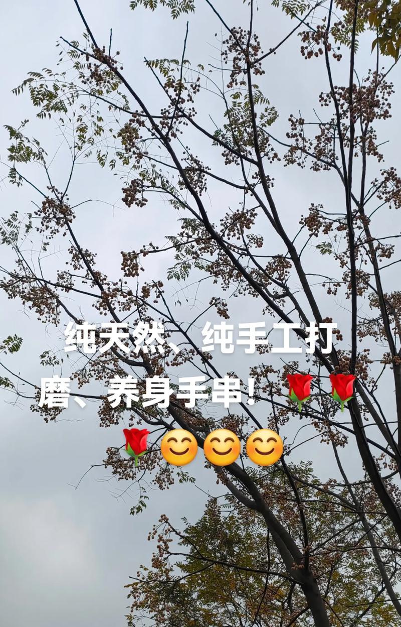 生命的力量：逆境中的自我拯救