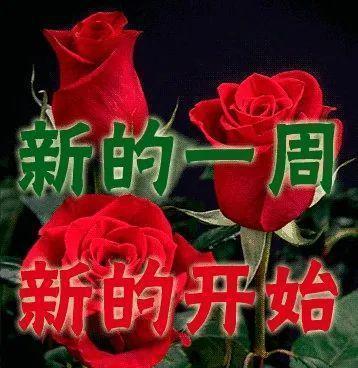 清晨美丽时光（妈妈的美丽）