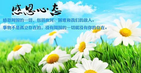生活赠我智慧——一个小孩的成长故事（从学习、人际关系到挫折，生活给了我很多宝贵的经验）