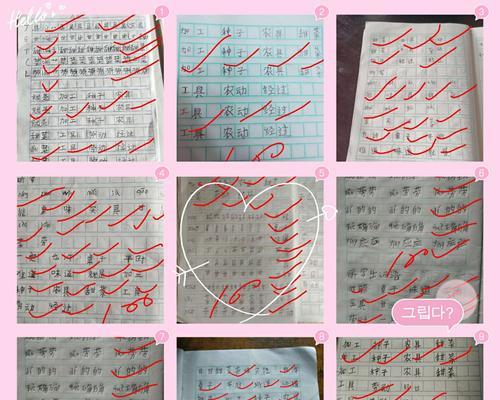 表扬我，是你的荣耀（一场意外，让我成为“小英雄”）