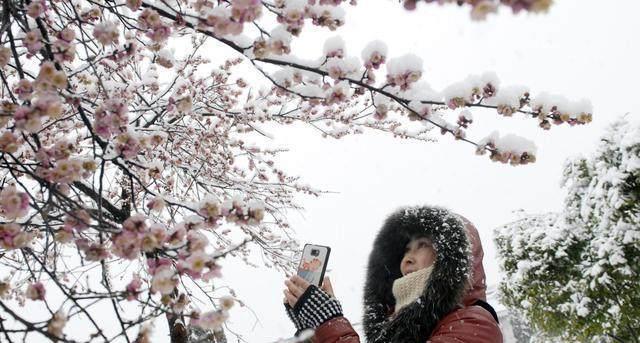 温暖如雪（寒冬中的冒险）