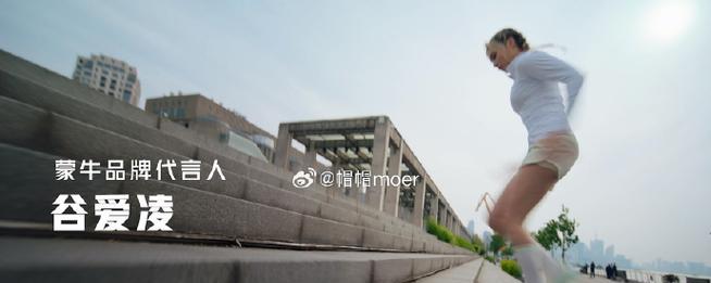 追寻目标（勇敢追求，永不放弃）
