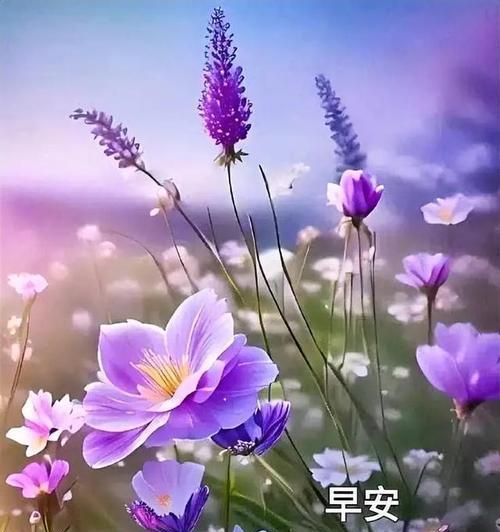 岁月静好，人间有爱（一个小村庄的故事）