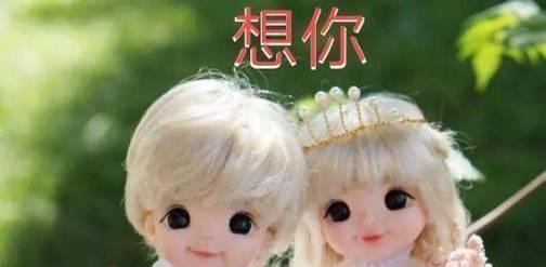 青春岁月，知心相伴（我和我的挚友）