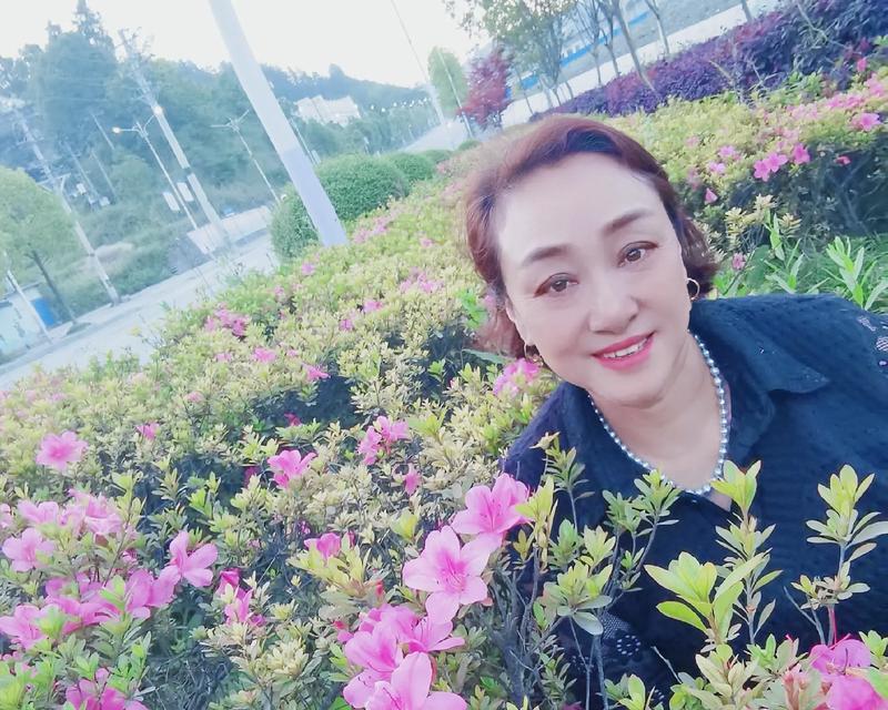 平淡的生命（关于一个普通家庭的故事）