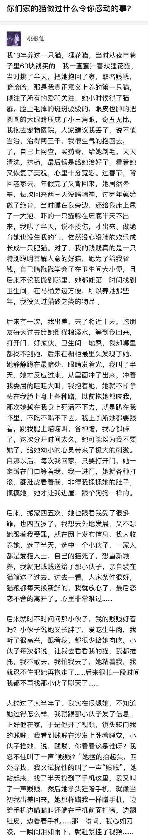 感动的旅程（寻找内心的感动）