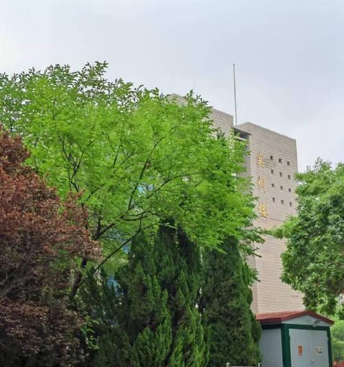 追寻理想，不懈努力（追寻理想，不懈努力）