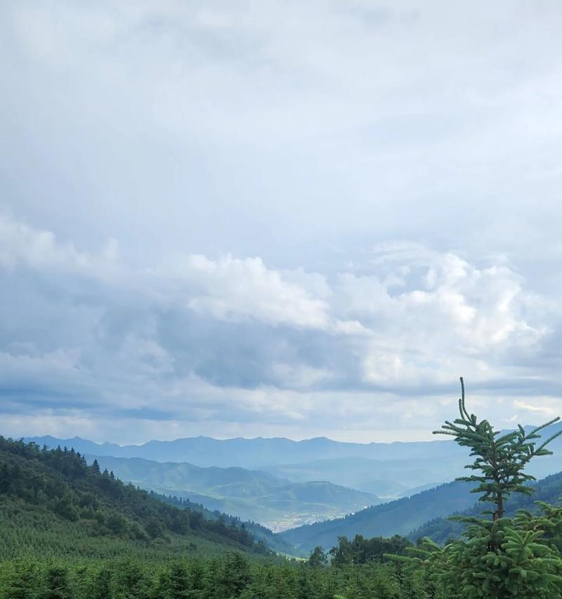 友情永在（那个深深烙在心里的人）