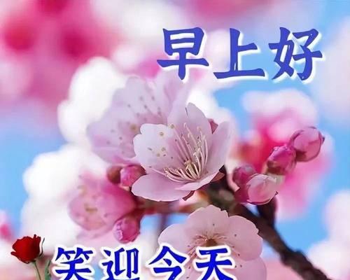 真诚与善良（幸福感悟的力量）