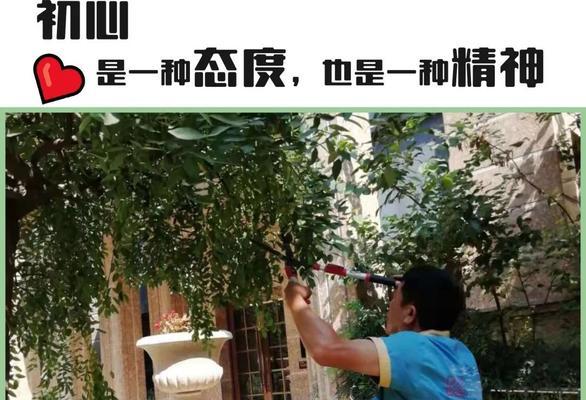 奋斗，给予我们幸福（一段奋斗的故事）