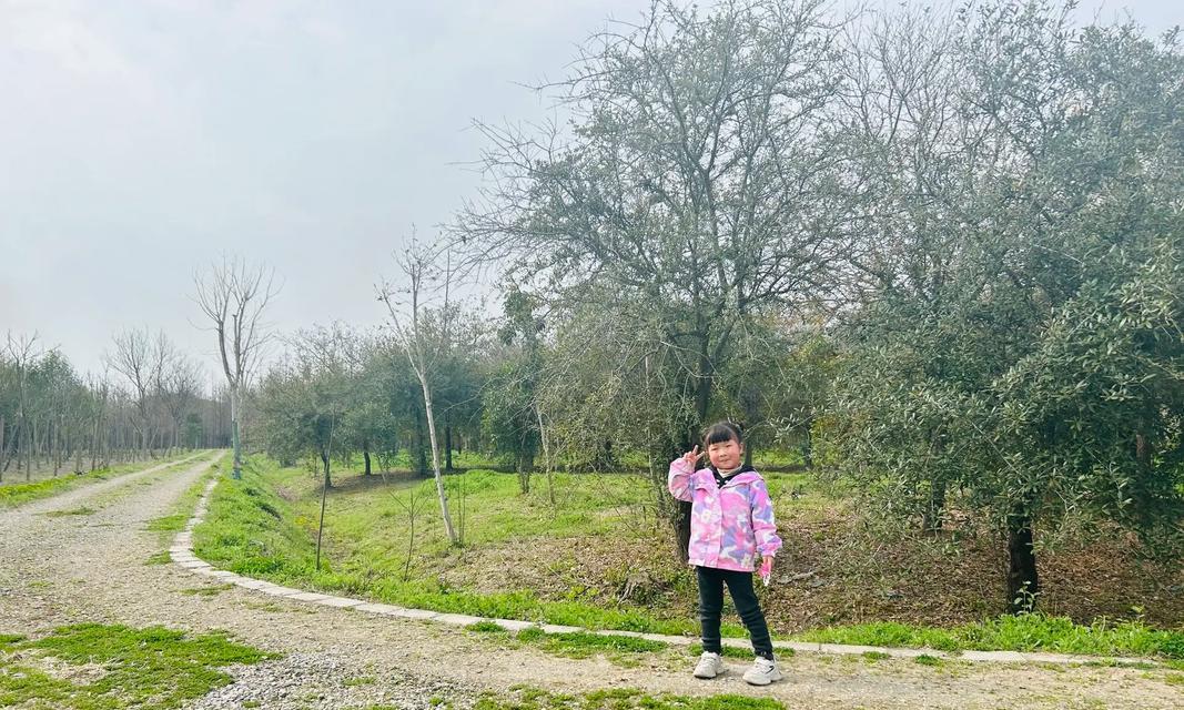 这个春天，我很烦恼（一个人的孤单与迷茫）